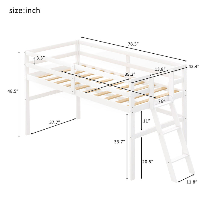 Gaston Wooden Twin Size Low Loft Bed with Ladder
