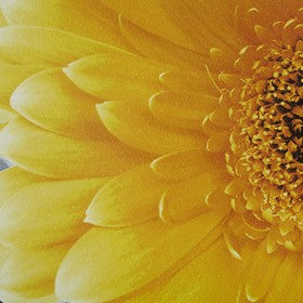 Vibrant Yellow Canvas (Low Stock)