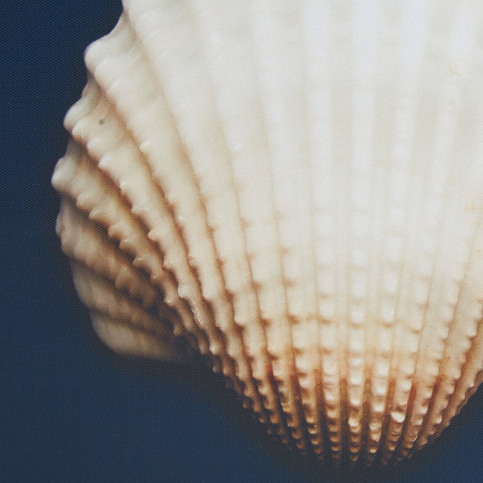 Ocean Blue Framed Canvas Set