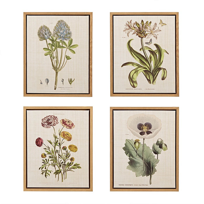 Herbal Botany Framed Linen Canvas Set