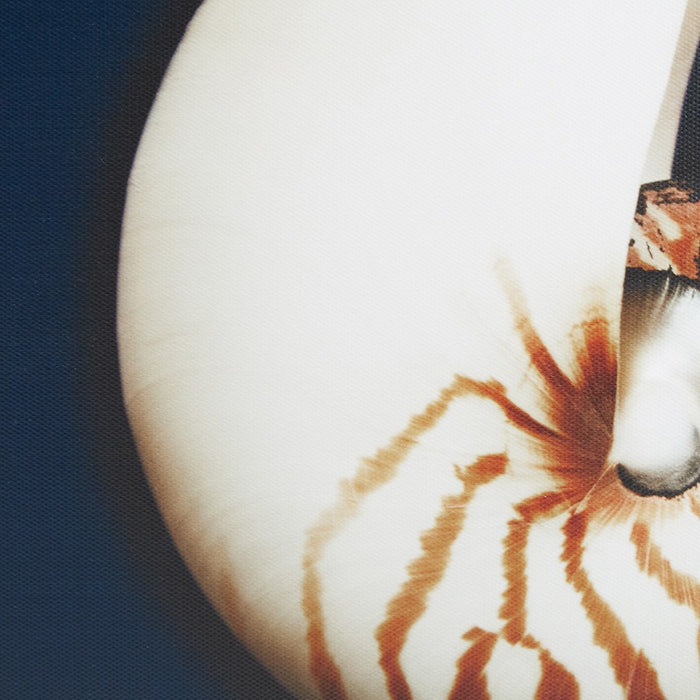 Ocean Blue Framed Canvas Set