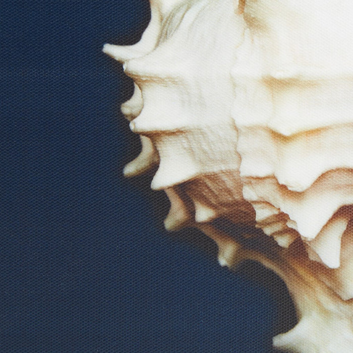 Ocean Blue Framed Canvas Set