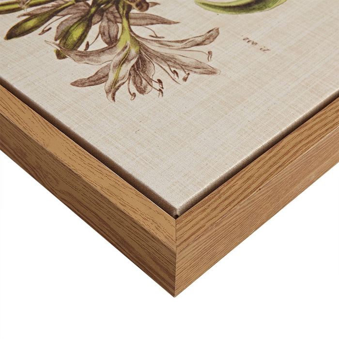 Herbal Botany Framed Linen Canvas Set