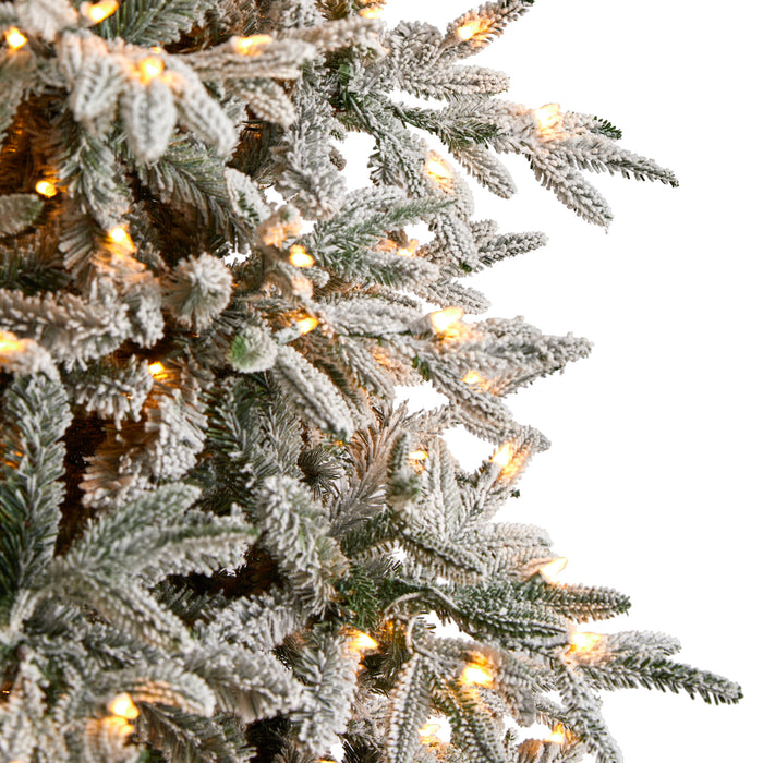 9.5’ Flocked Manchester Spruce Artificial Christmas Tree With 650 Lights And 1733 Bendable Branches