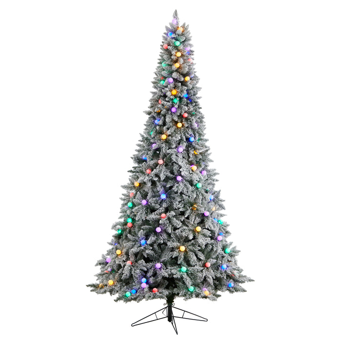 9.5' Flocked British Columbia Mountain Fir Tree With 150 Multi Color Globe Bulbs And 2297 Branches