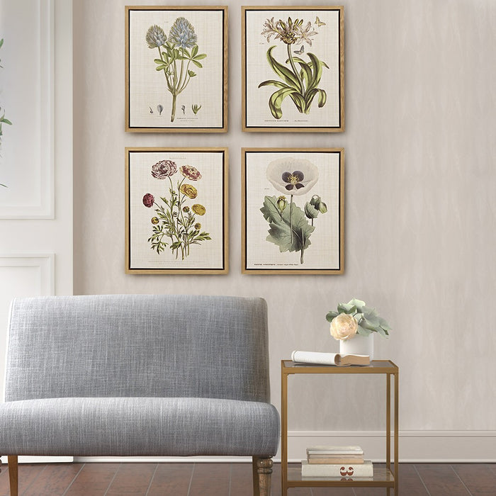 Herbal Botany Framed Linen Canvas Set