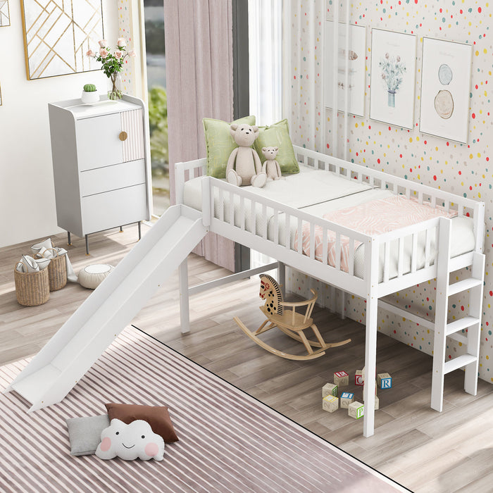Gracie Twin Size Low Loft Bed with Ladder and Slide