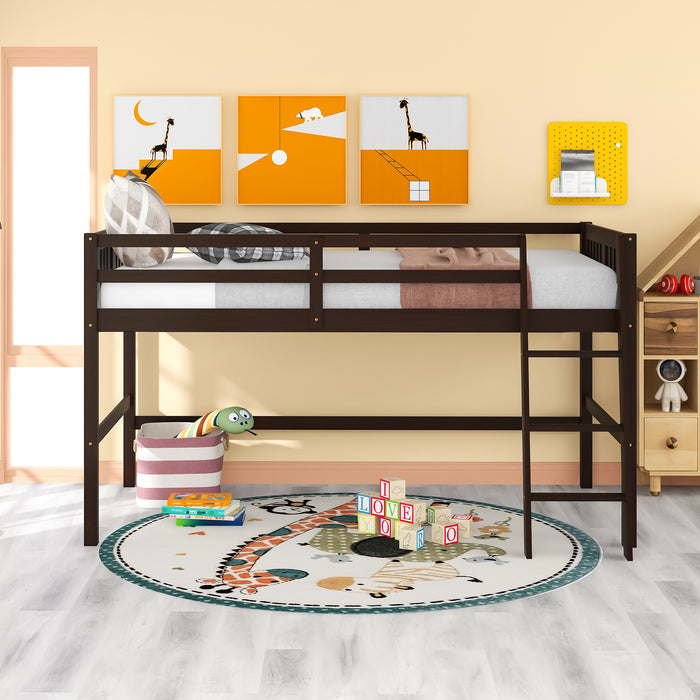 Twin Wood Loft Bed Low Loft Beds with Ladder