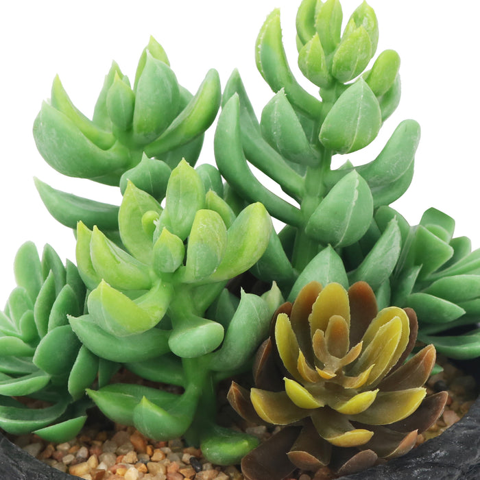 3pcs Artificial Succulents Plants Mini Realistic Fake Succulents EVA Planter Pot