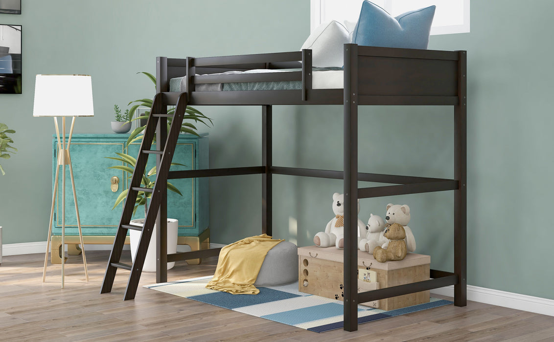 Dormir Solid Wood Twin Size Loft Bed with Ladder(Espresso)