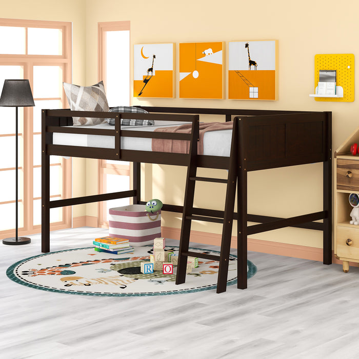 Twin Wood Loft Bed Low Loft Beds with Ladder