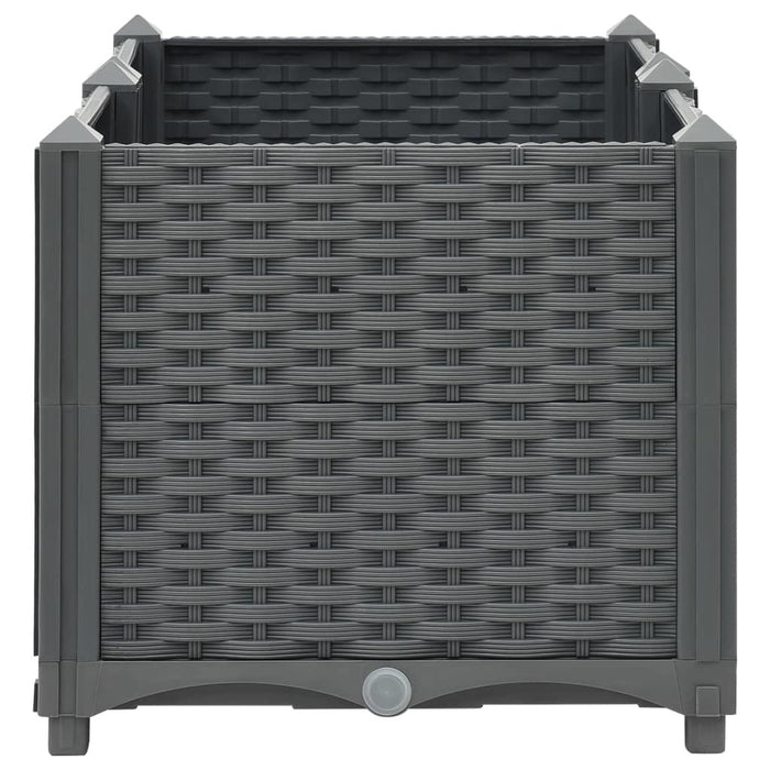 Raised Bed 31.5"x15.7"x15" Polypropylene