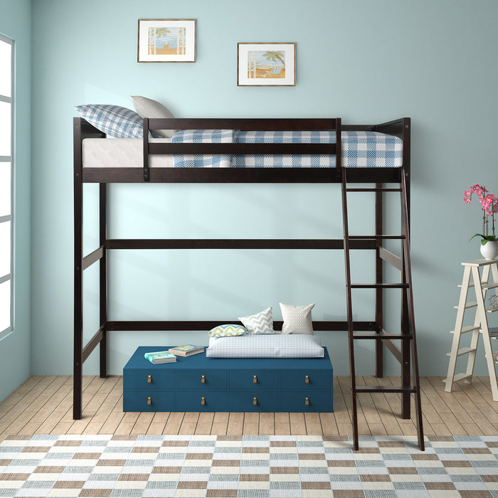 Dormir Solid Wood Twin Size Loft Bed with Ladder(Espresso)