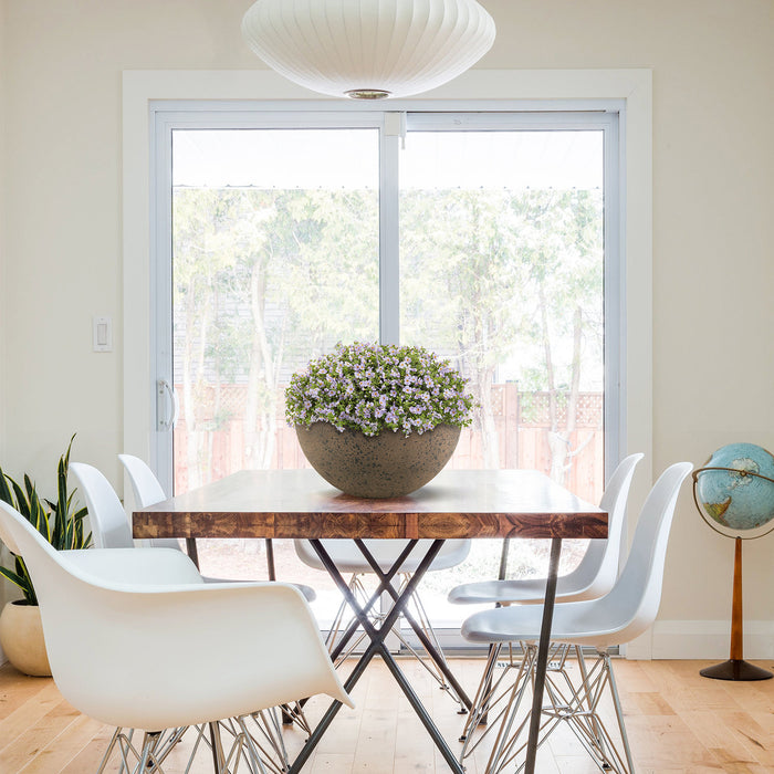 2 Pcs 10" Big Bowl Planter Pots with Drainage Holes,Rust Brown