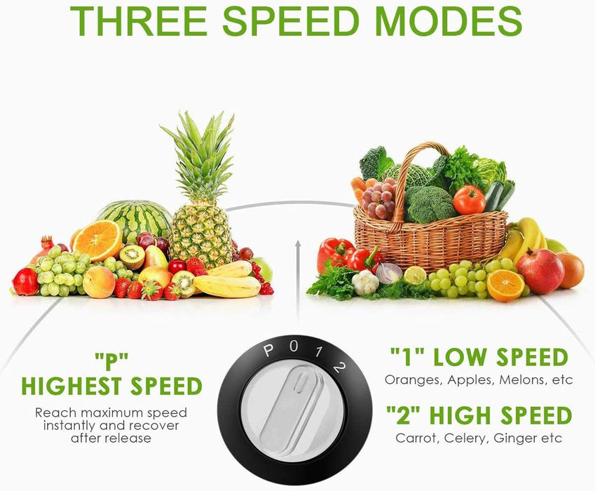 Homeleader Juicer Extractor 3-Speed