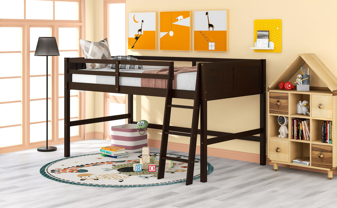 Twin Wood Loft Bed Low Loft Beds with Ladder
