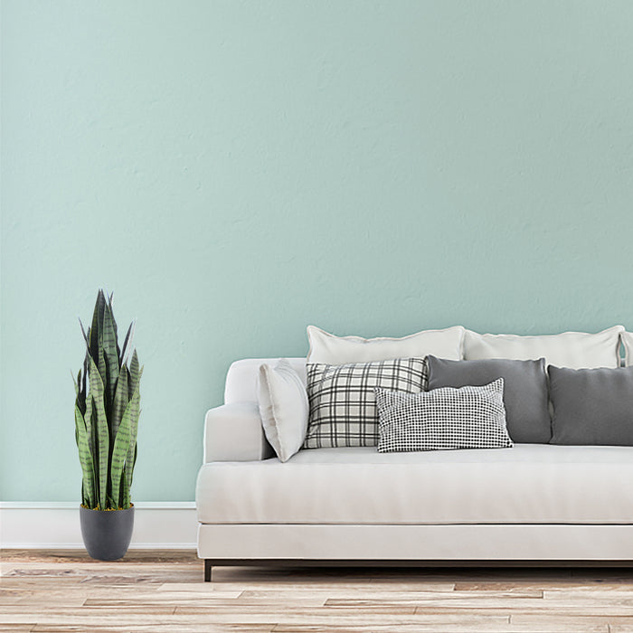 95cm Sansewieria trifasciata 40lvs with 7.7" black pot