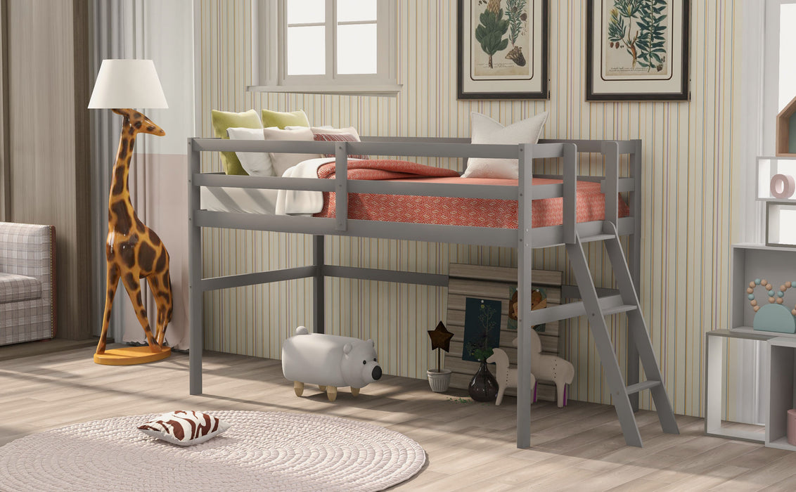 Twin Size Low Loft Bed with Ladder
