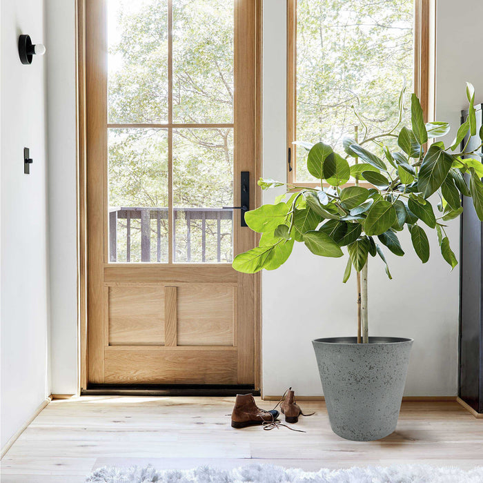 2 Pcs 10" Round Plant Pots with Drainage Holes, Dark Grey