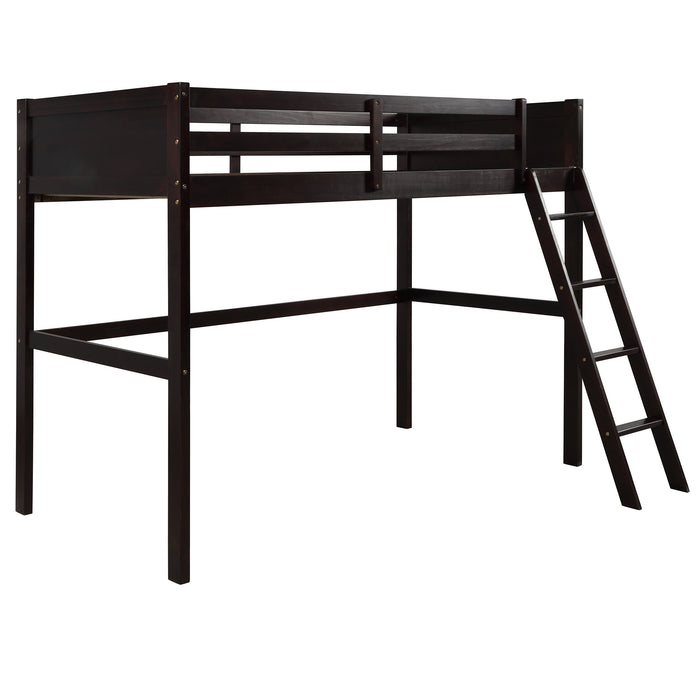 Twin over Full Loft Bed with Cabinet, Espresso