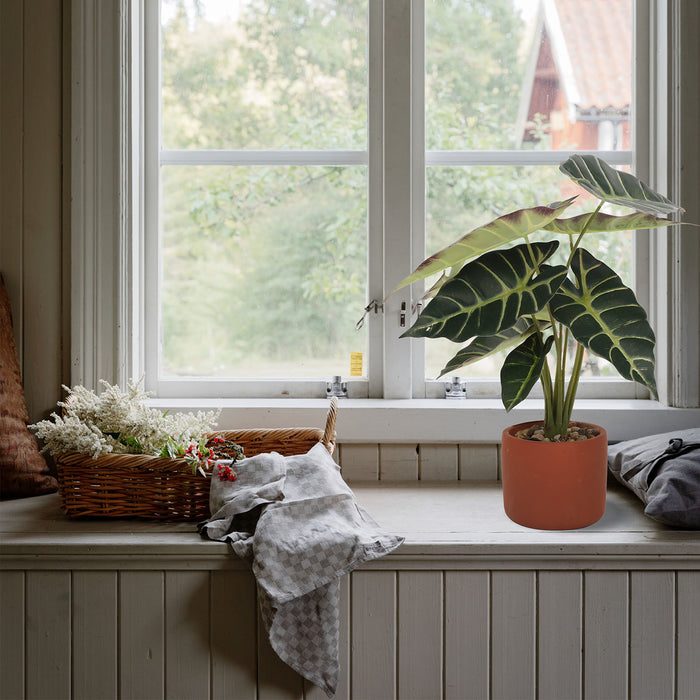 35-40cm Artificial Plants Bonsai Plant Flowers Potted Home Ornaments Table Office Decor