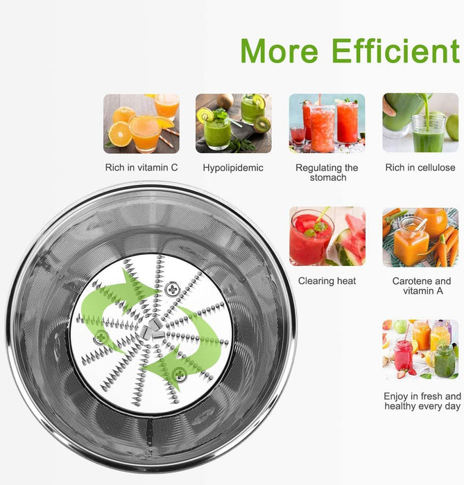 Homeleader Juicer Extractor 3-Speed