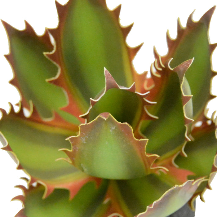 3pcs Artificial Succulents Plants Mini Realistic Fake Succulents EVA Planter Pot