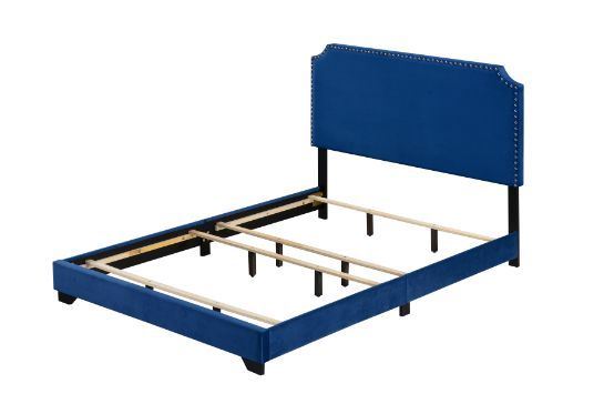 Haemon Queen Bed - Blue Fabric