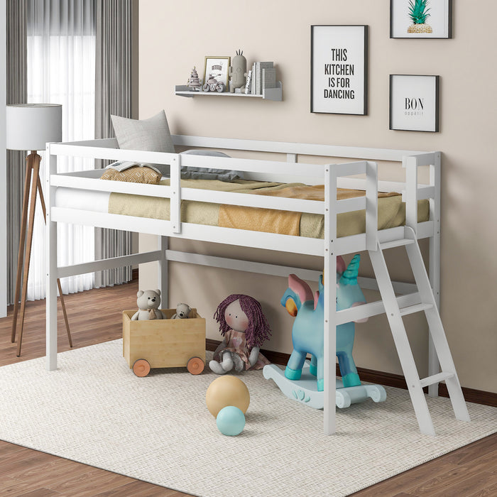 Twin Size Low Loft Bed with Ladder