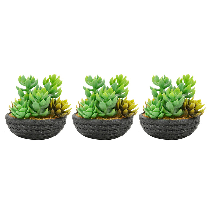 3pcs Artificial Succulents Plants Mini Realistic Fake Succulents EVA Planter Pot