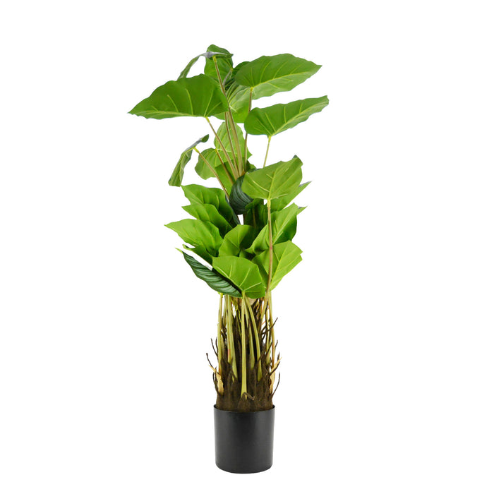 90cm-30LVS Calathea Artificial Monstera Plant