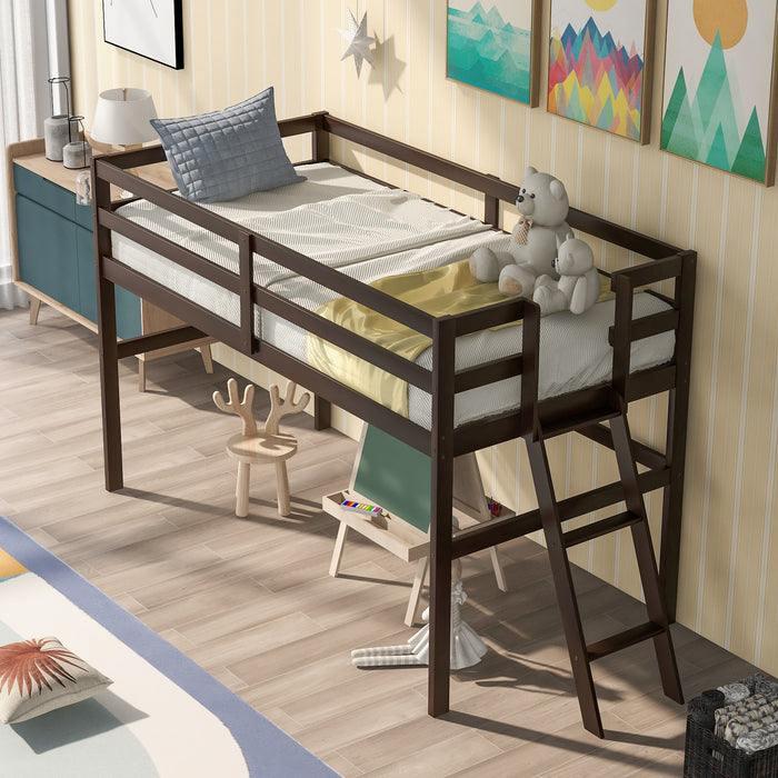 Twin Size Low Loft Bed with Ladder