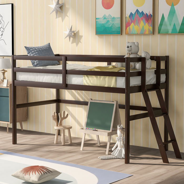 Twin Size Low Loft Bed with Ladder