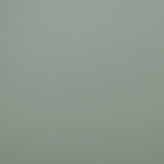 Curry 2 Door Accent Cabinet